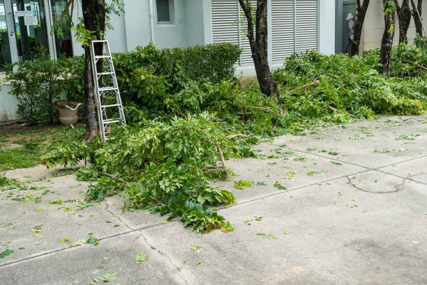 Best Storm Damage Tree Cleanup  in Twin Lakes, VA